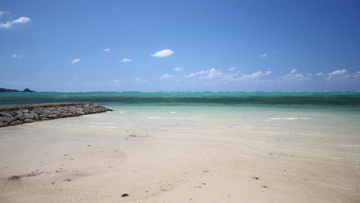 仲泊海岸 ビーチから見た景色